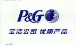 山东卫视 新闻爆料,揭秘重大新闻事件背后真相